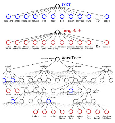 yolo-tree